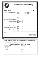 Load image into Gallery viewer, UK IMPORTED North Country Cheviot Embryos