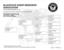 Load image into Gallery viewer, Woolford 13972
