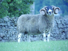 Load image into Gallery viewer, Woolford 13972
