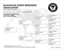 Load image into Gallery viewer, Woolford 13974
