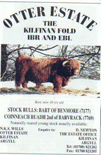 Load image into Gallery viewer, Ridge Top MacDougal (AI,D)
