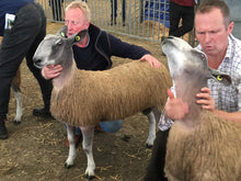 Load image into Gallery viewer, Auchry 4447/L003
