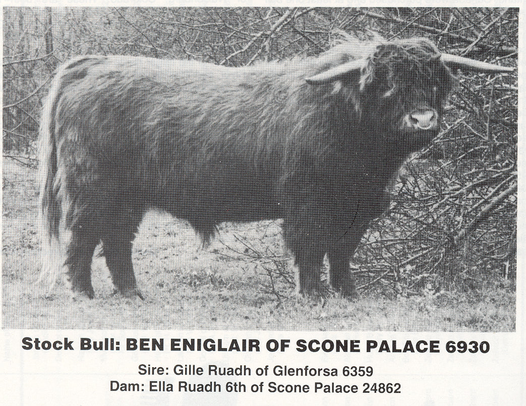 Ben Eniglair of Scone Palace